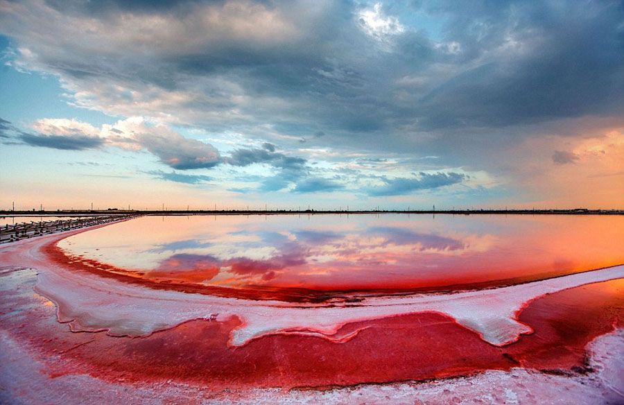 Фотограф сделал прекрасные снимки «Гнилого моря» в Крыму