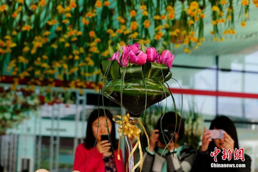 Тюльпан «Готай», получивший свое название от первой леди Пэн Лиюань, появился в Пекине 
