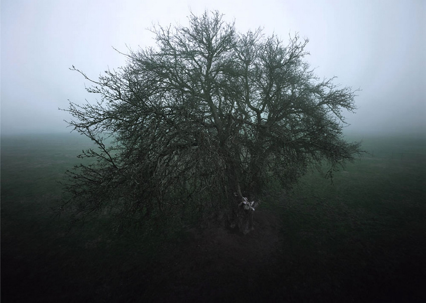 «Красивая смерть» в объективе японского фотографа Izima Kaoru