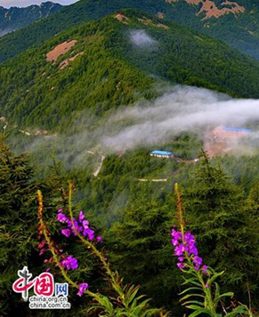 Проведение праздника Дуаньу: наслаждение свежим воздухом в горах Улиншань