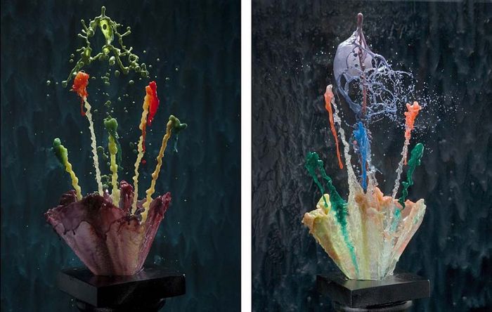 Скульптуры из воды: мнговение всплеска жидкости в объективах фотографа США