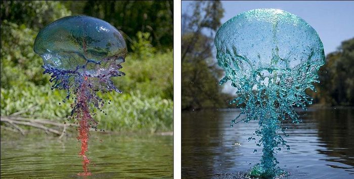 Скульптуры из воды: мнговение всплеска жидкости в объективах фотографа США