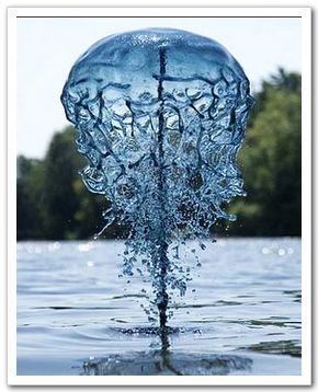 Скульптуры из воды: мнговение всплеска жидкости в объективах фотографа США