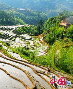 Красивые террасы в деревне Таоюань провинции Цзянси
