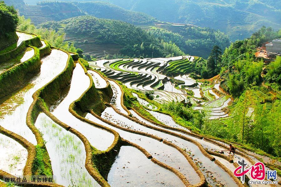 Красивые террасы в деревне Таоюань провинции Цзянси
