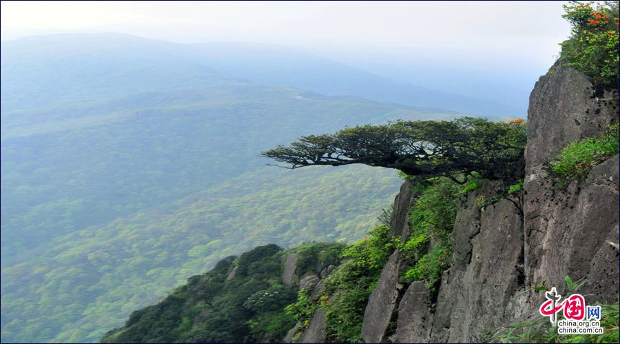 Горы Гупошань: уникальный государственный лесной парк на юге Китая