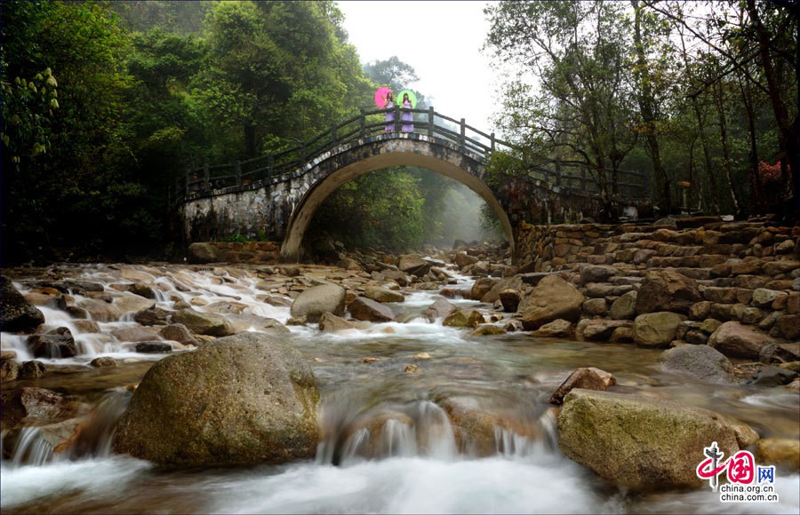 Горы Гупошань: уникальный государственный лесной парк на юге Китая