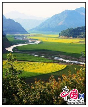 Чарующее море цветов рапса в г. Цзиань провинции Цзилинь