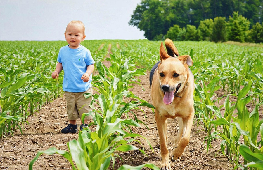 По сообщению британской газеты Daily Mail от 27 июня, в приложении для обмена фото Instagram появилась серия трогательных снимков мальчика Картера и собаки Тоби, которая привлекла внимание 5000 фанатов. 