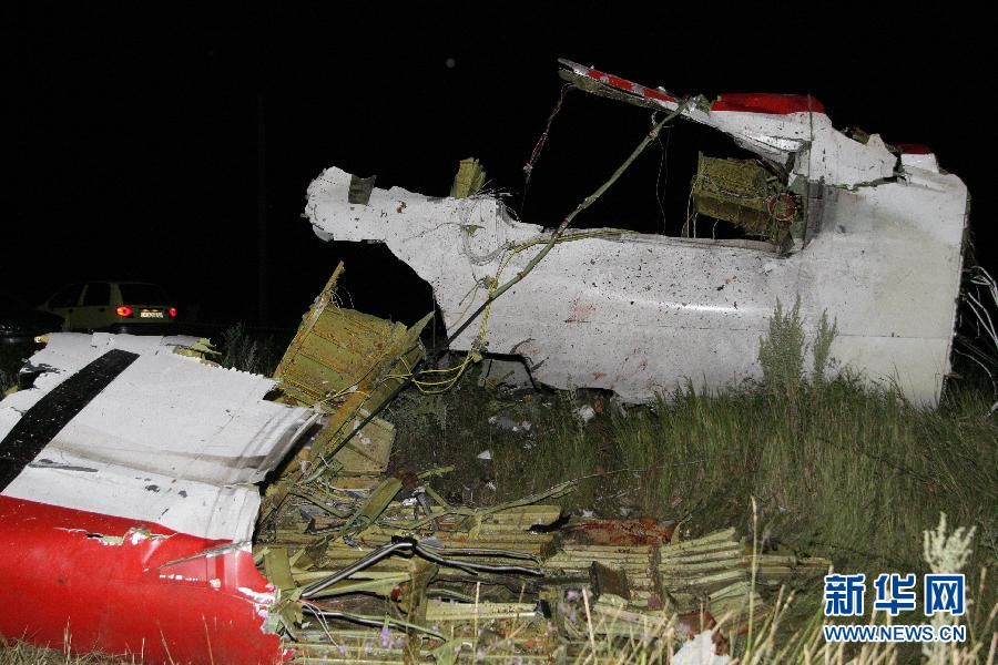 В результате крушения малайзийского самолета на востоке Украины, вероятнее всего, погибли 295 человек
