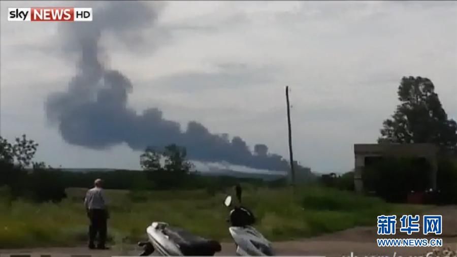 В результате крушения малайзийского самолета на востоке Украины, вероятнее всего, погибли 295 человек