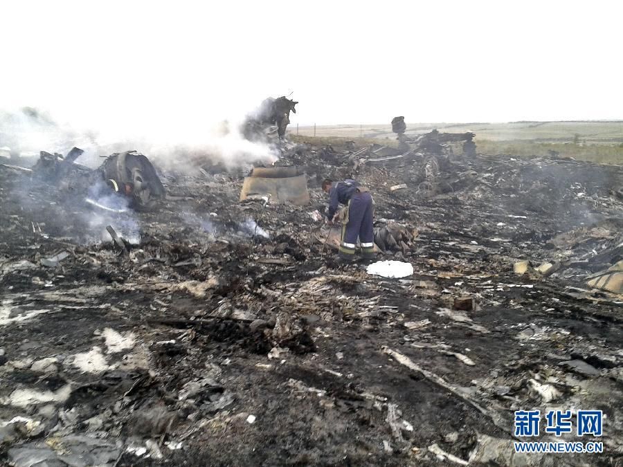 В результате крушения малайзийского самолета на востоке Украины, вероятнее всего, погибли 295 человек