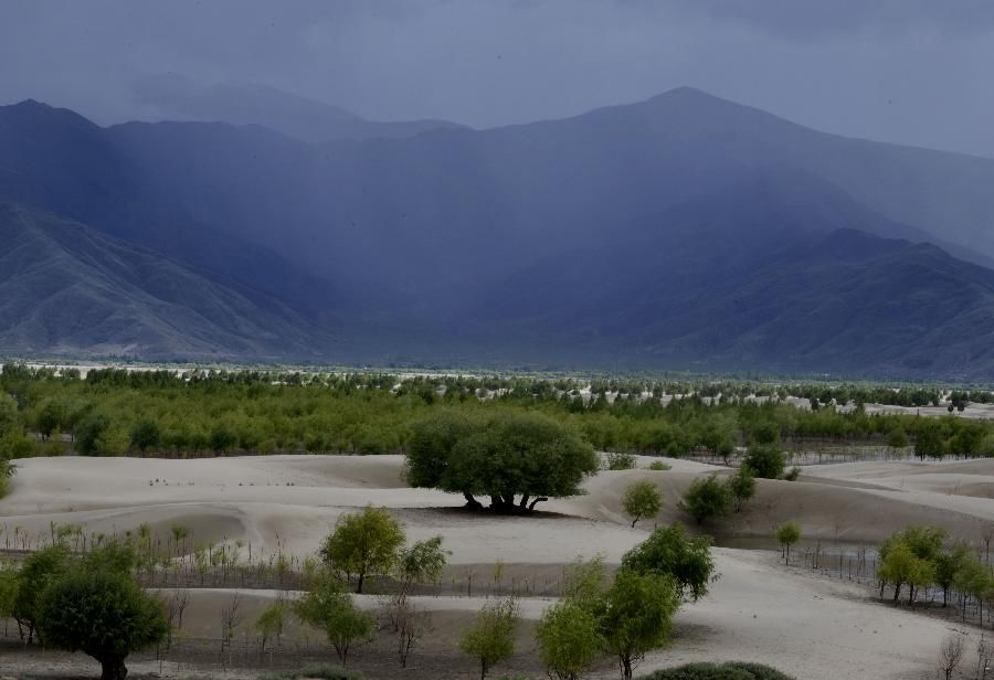 В Тибете построили «зеленый щит» для реки Брахмапутра 