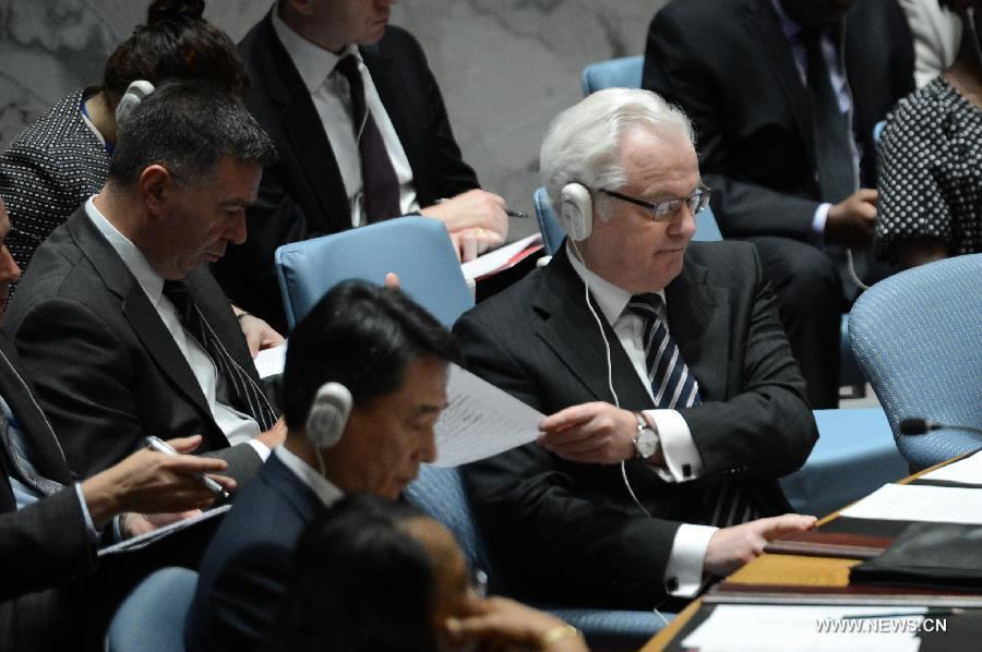 СБ ООН призвал провести всестороннее и независимое международное расследование крушения самолета 'Малайзийских авиалиний'