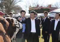 Си Цзиньпин посетил аргентинское поместье