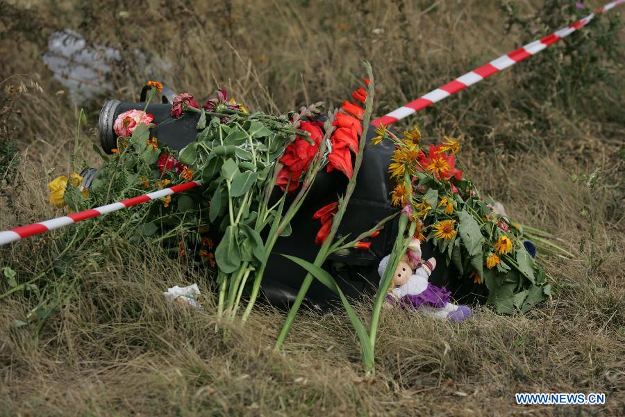 Останки части погибших при крушении самолета 'Малайзийских авиалиний' отправлены в Донецк