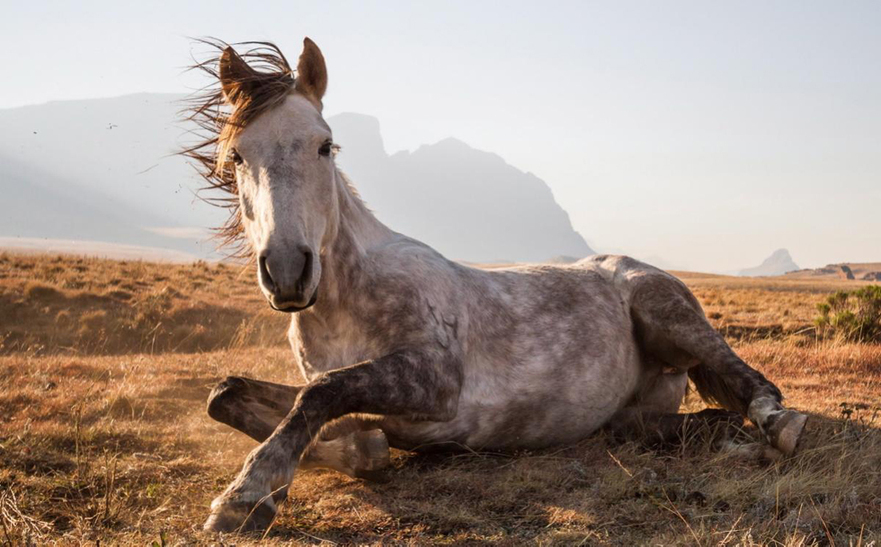 Журнал National Geographic Traveler назвал лучшие фотоработы 2014 года