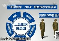 Военные подразделения Кыргызстана, Таджикистана и Казахстана прибыли в Китай для участия в учениях 'Мирная миссия-2014'