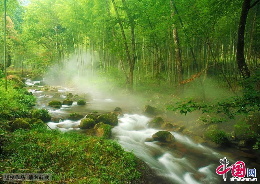 Идеальное место для проведения лета – горы Цзинганшань 