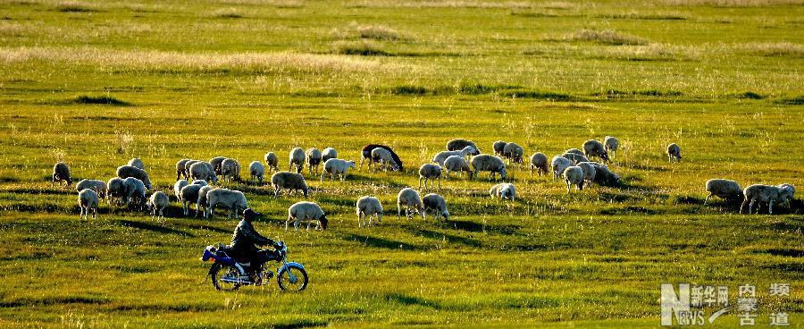 Пейзажная Хулунбуирская степь в Автономном районе Внутренняя Монголия