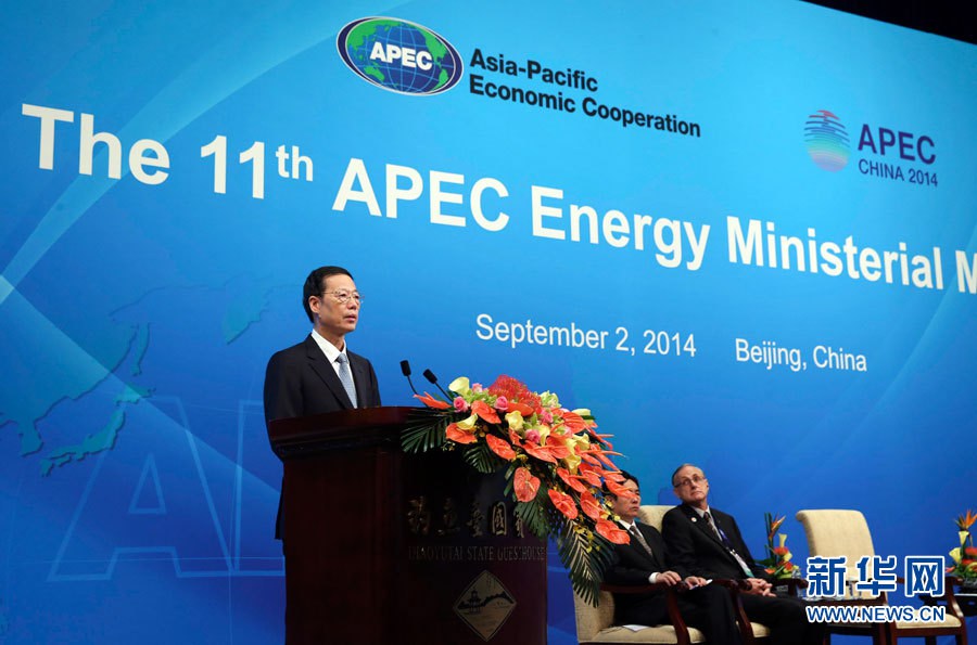 Чжан Гаоли встретился с участниками 11-й встречи министров энергетики АТЭС