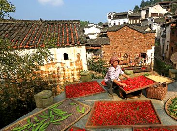 Уюань провинии Цзянси: осенние пейзажи и народные обычаи встречают золотую осень