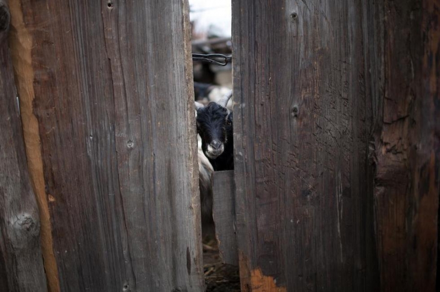 Фото: Продовольственный кризис в Непале