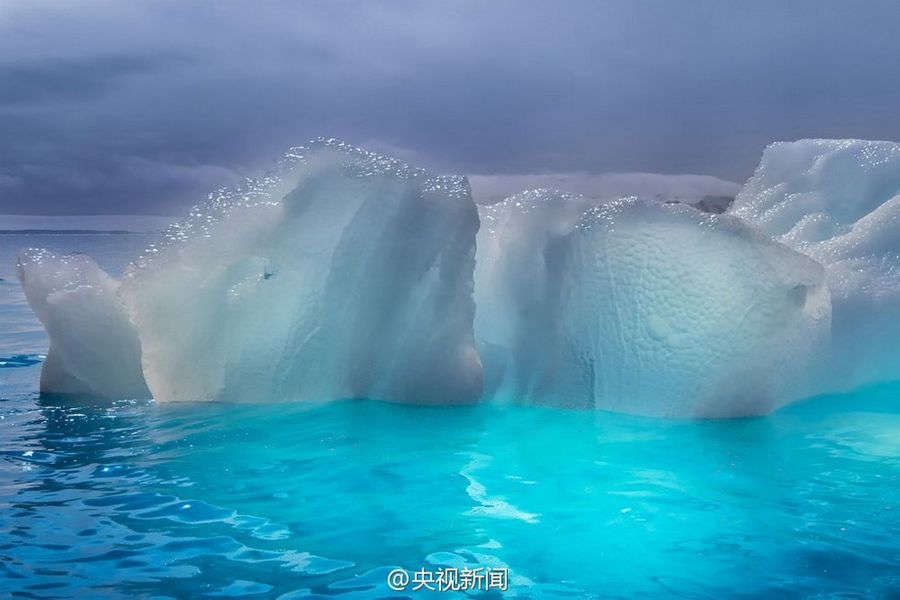 Чудесная Антарктика в объективе американского фотографа Майкла ЛеГроса