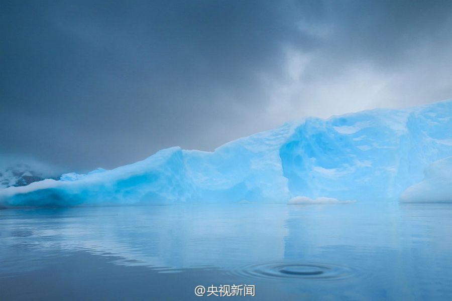 Чудесная Антарктика в объективе американского фотографа Майкла ЛеГроса