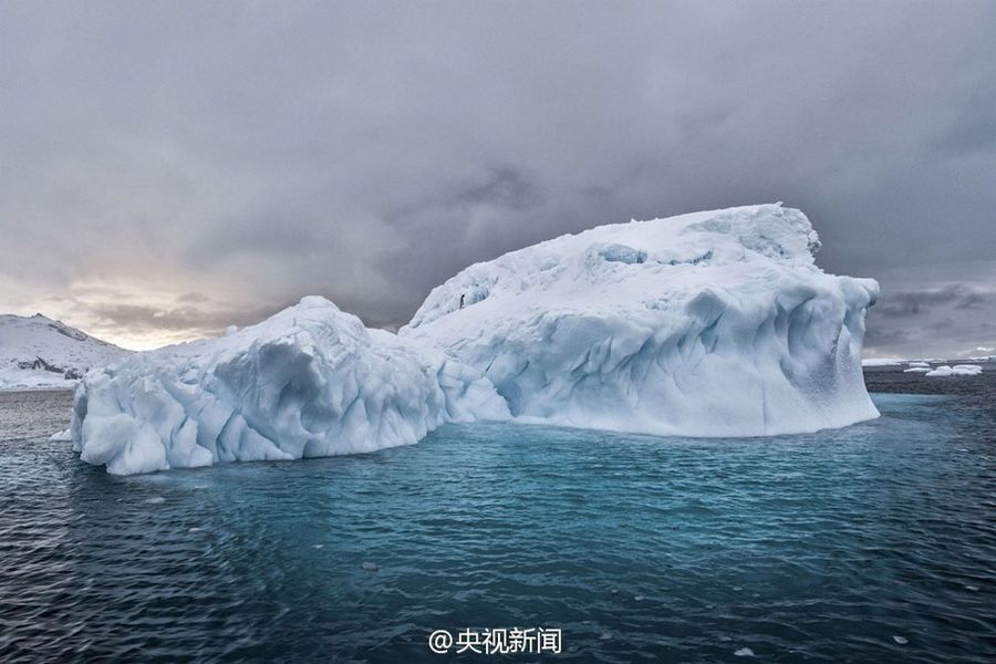 Чудесная Антарктика в объективе американского фотографа Майкла ЛеГроса