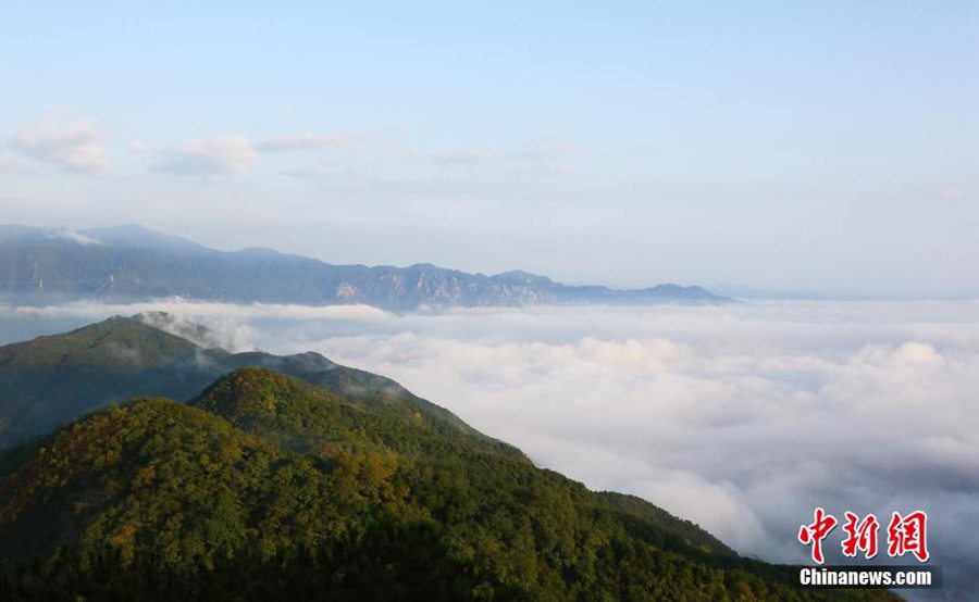 Очаровательное море облаков в горах на западе Пекина
