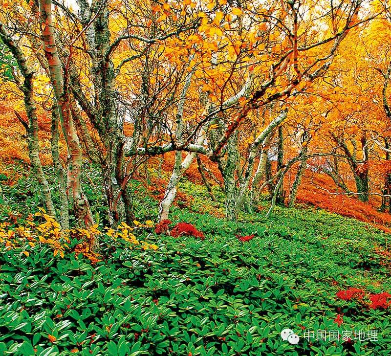 Красивые осенние пейзажи в десяти местах Китая