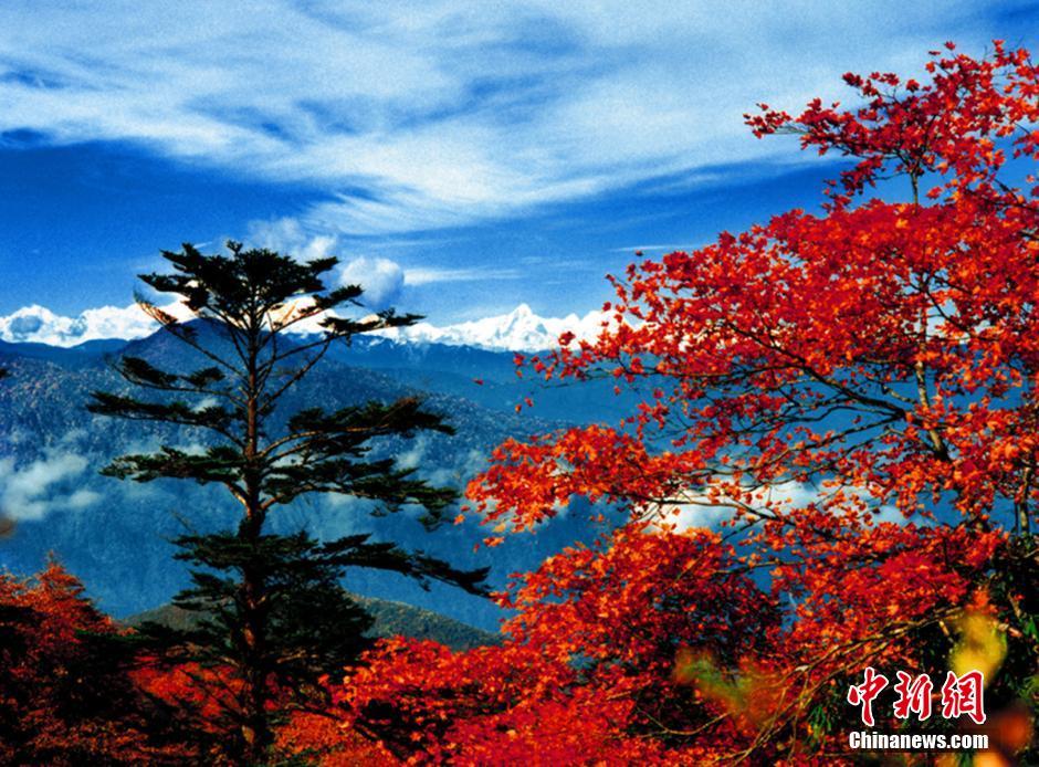 Прекрасные осенние пейзажи гор Емэйшань