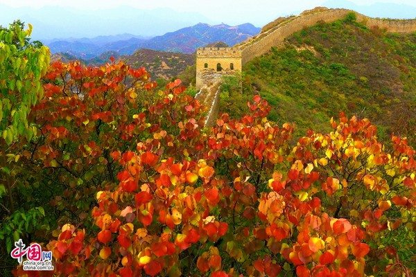 Фото: Прекрасные осенние пейзажи участка Великой китайской стены Цзиньшаньлин