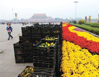Пекин: для встречи саммита АТЭС на улице Чанъаньцзе и площади Тяньаньмэнь будет заменено более 450 тыс цветочных горшков