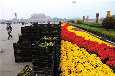 Пекин: для встречи саммита АТЭС на улице Чанъаньцзе и площади Тяньаньмэнь будет заменено более 450 тыс цветочных горшков