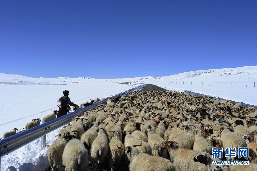 Плато Али Тибетского автономного района после снега