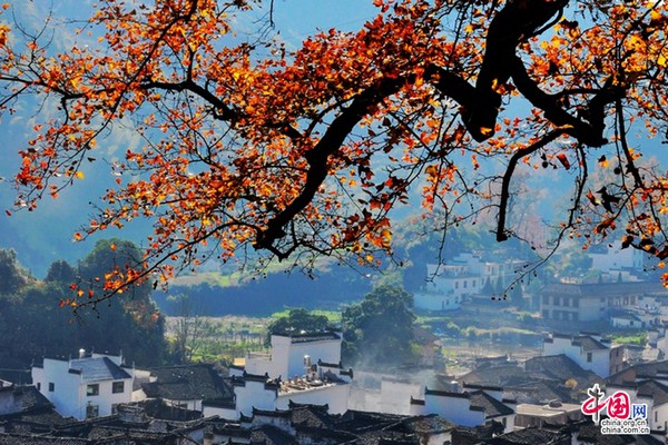 Прекрасные осенние пейзажи в деревне Чанси уезда Уюань
