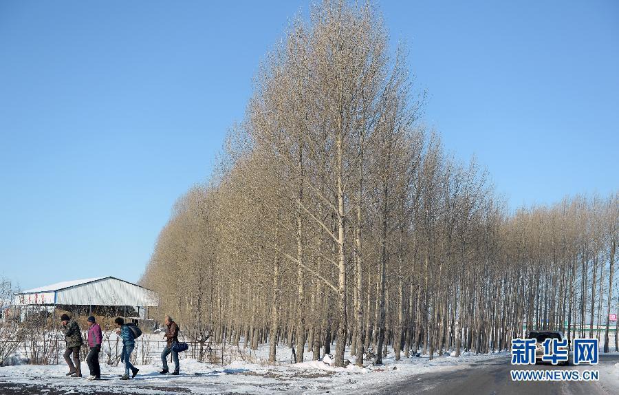 Пейзажи степи Хулунбуир в начале зимы