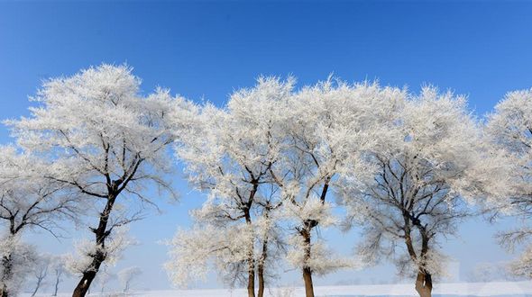 Красивые пейзажи изморози на острове Усундао провинции Цзилинь 