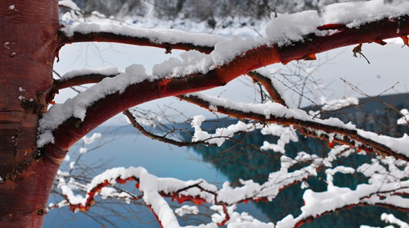 В достопримечательности Цзючжайгоу выпал первый снег этой зимы