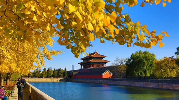 Живописные осенние пейзажи Пекина