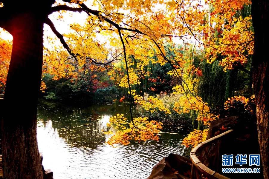  Осенние пейзажи в парке Баотуцюань г. Цзинань