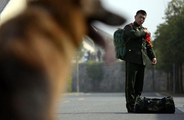 Служебные собаки не хотят расставаться с демобилизованными военнослужащими