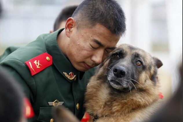 Служебные собаки не хотят расставаться с демобилизованными военнослужащими