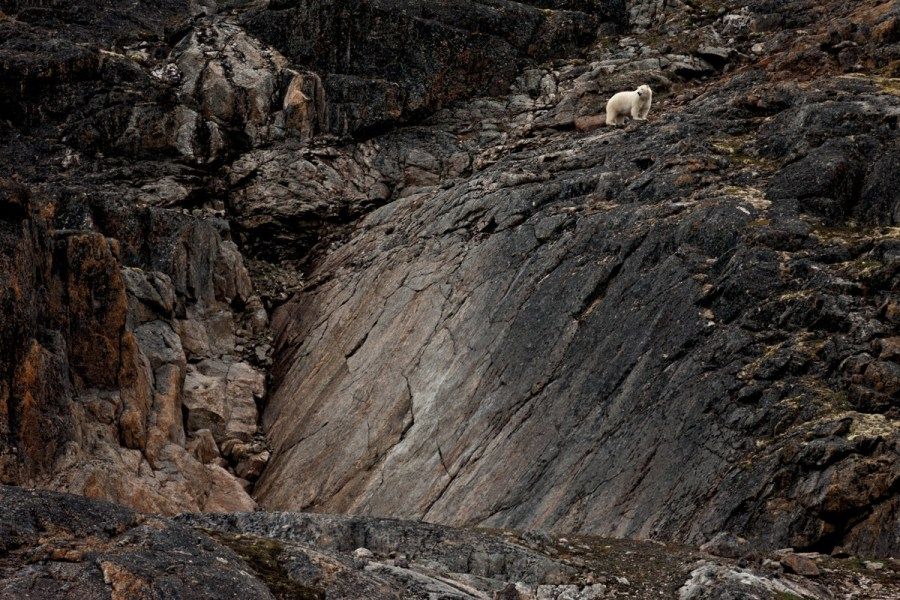 Изменение климата на прекрасных полярных фотографиях 