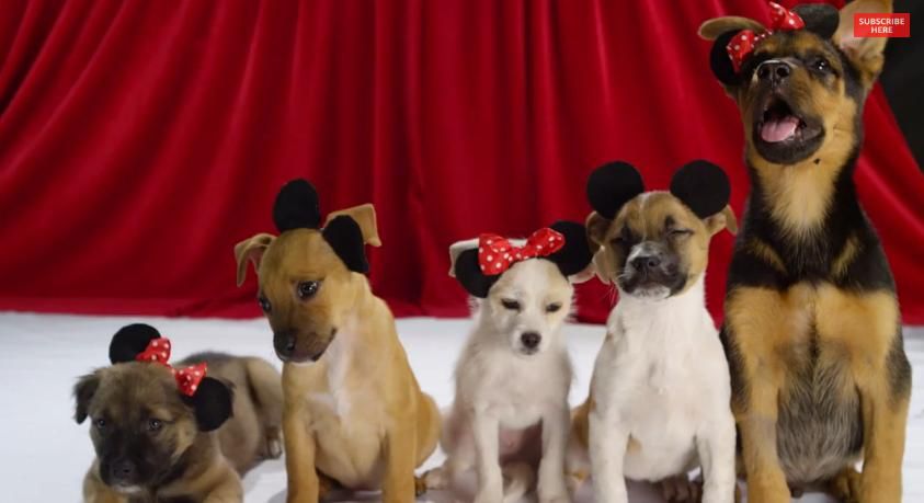 Симпатичные собаки из диснеевских фильмов