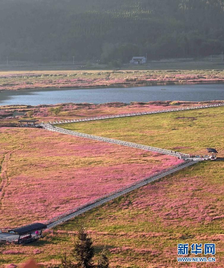 Заповедник водно-болотных угодий Бэйхай в провинции Юньнань 