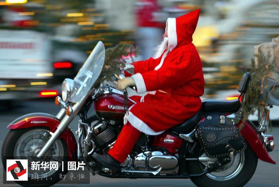 Смешные фотографии в нарядах Санта-Клауса