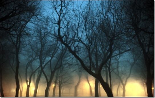 30 самых чарующих пейзажей в тумане